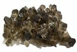Smoky Quartz Crystal Cluster - Brazil #124606-1